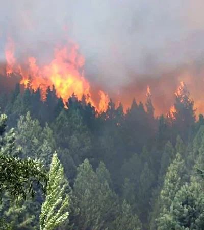 Nahuel Huapi: incendios fuera de control y una advertencia dramática