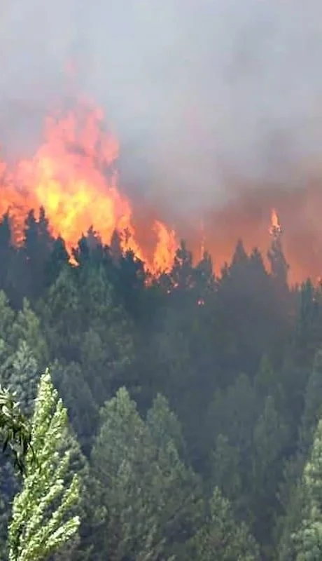 Nahuel Huapi: incendios fuera de control y una advertencia dramática