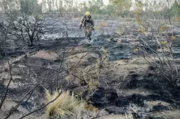 Una coincidencia inesperada hizo que un loro provocara un voraz incendio
