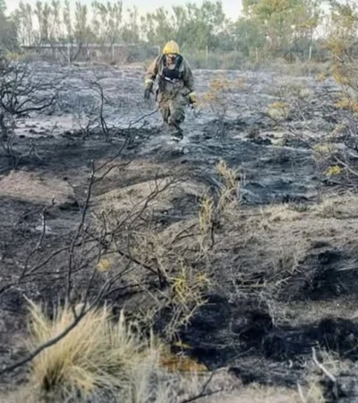 Los bomberos debieron controlar las llamas que afectaron una amplia zona. (Foto: web)