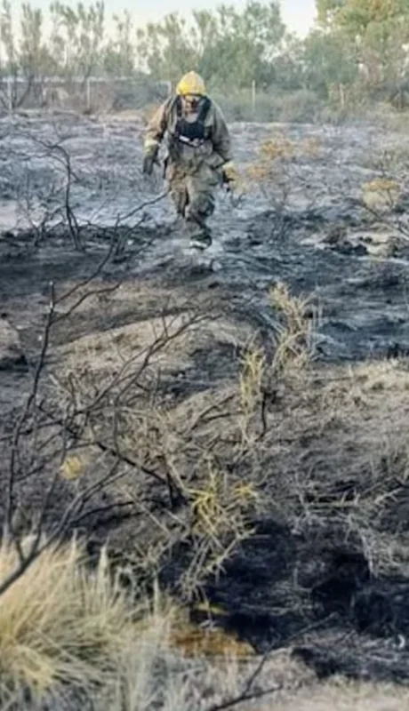 Los bomberos debieron controlar las llamas que afectaron una amplia zona. (Foto: web)