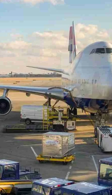 Delia Flores: "Nuestro desafío es no dejar de ser un país exportador"