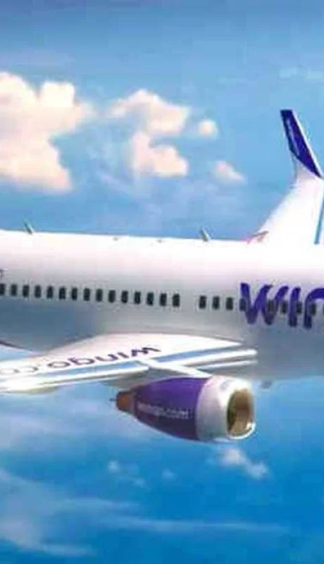 Cielos Abiertos: vuelos internacionales desde Mendoza sin escalas