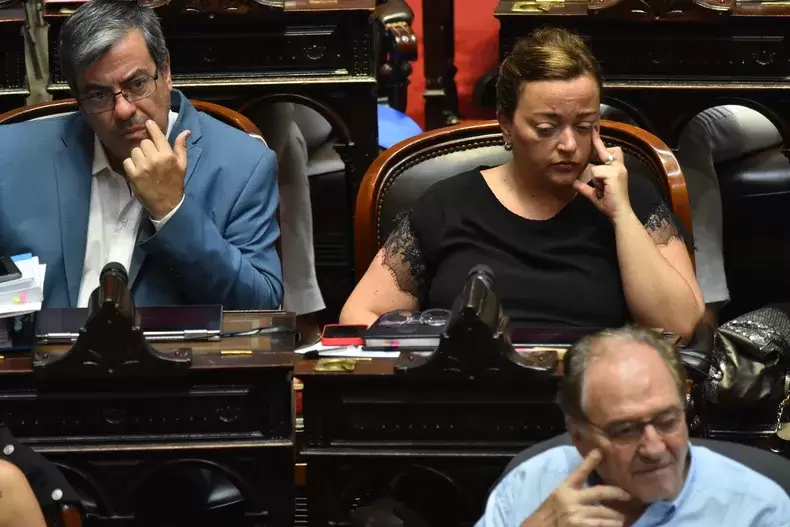 Union por la Patria, oposición dura