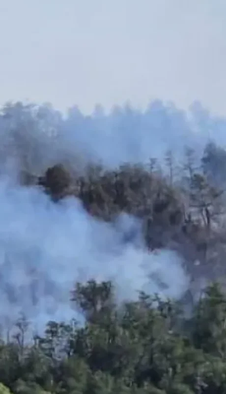 Los expertos calculan que hasta el mes de mayo, cuando llegue la temporada de lluvias, podrían durar los incendios en el sur de Bariloche.
