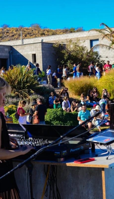 Vendimia de Neuquén.