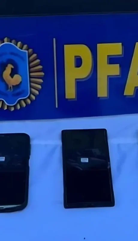 Celulares secuestrados por la PFA en Pilar.