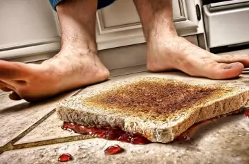 Una de las cinco leyes más famosas del mundo es la más popular, ¿cuál es?