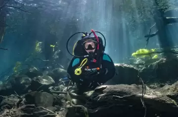 El Bosque Sumergido, uno de los atractivos más espectaculares de la Patagonia