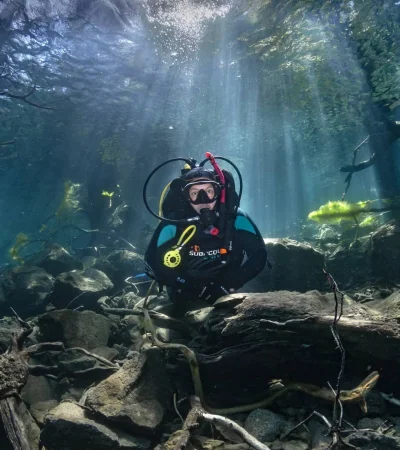 El Bosque Sumergido en el Lago Traful.