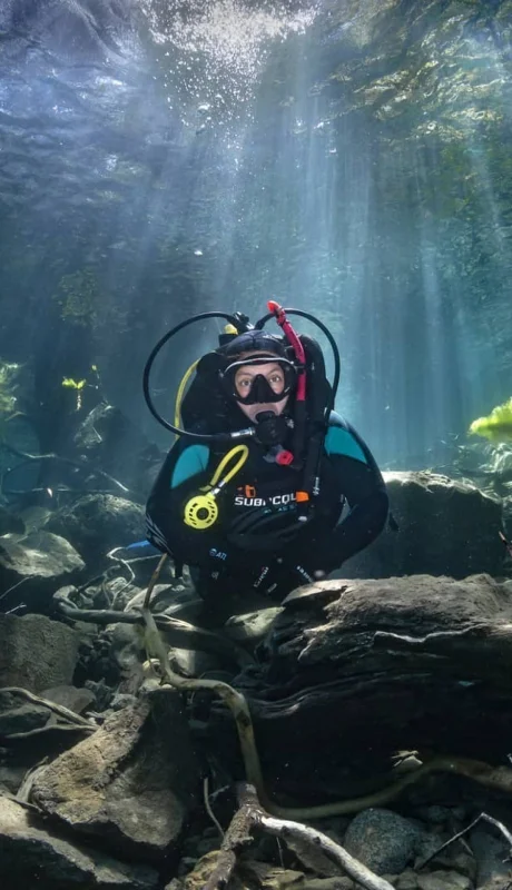 El Bosque Sumergido en el Lago Traful.