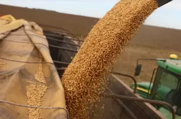 El Gobierno presiona al campo para liquidar dólares en manos de exportadores