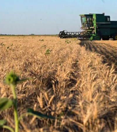 La baja transitoria en las retenciones es solo la punta del iceberg en una profunda reorganización impositiva que debe darse en Argentina.