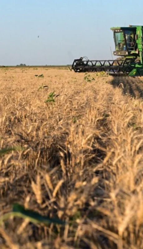 La baja transitoria en las retenciones es solo la punta del iceberg en una profunda reorganización impositiva que debe darse en Argentina.