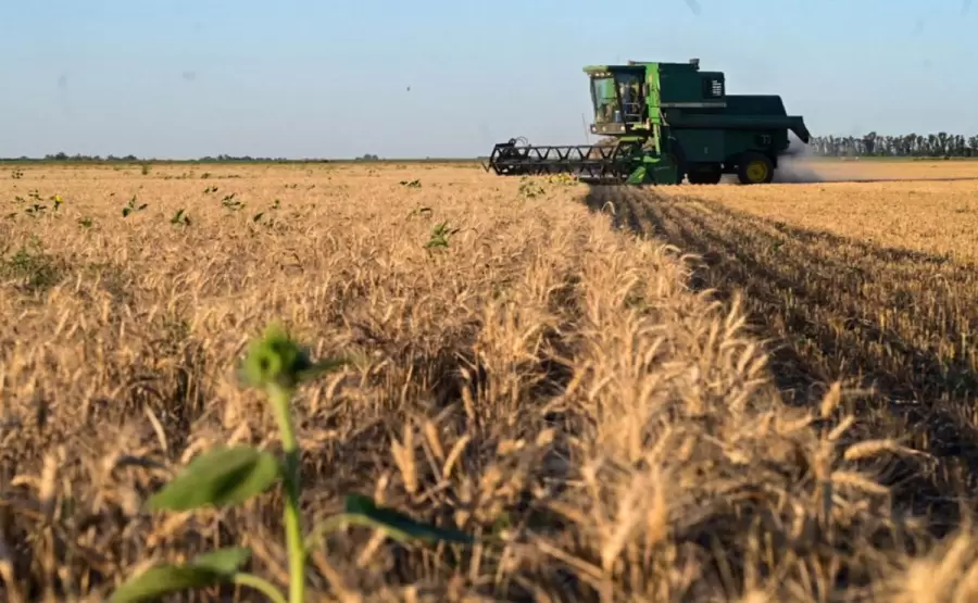 La baja transitoria en las retenciones es solo la punta del iceberg en una profunda reorganización impositiva que debe darse en Argentina.