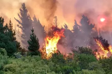 "¡Salgan!": el estremecedor relato de un bombero en la Patagonia en llamas