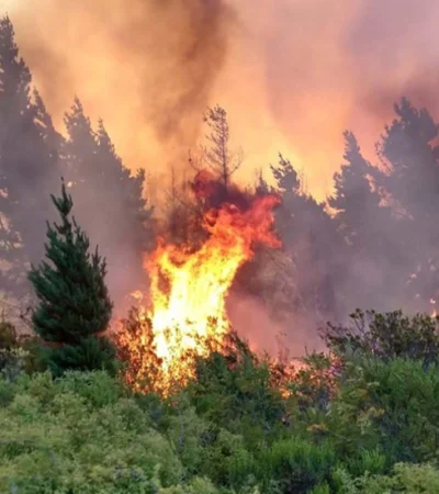El fuego persiste en Chubut.