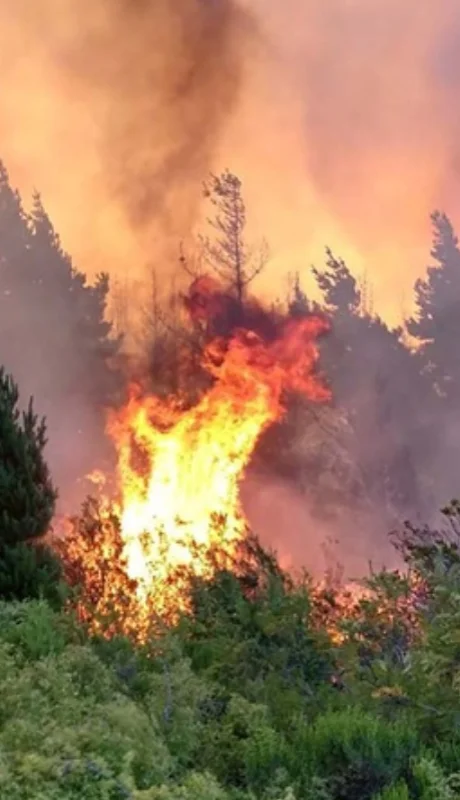 El fuego persiste en Chubut.