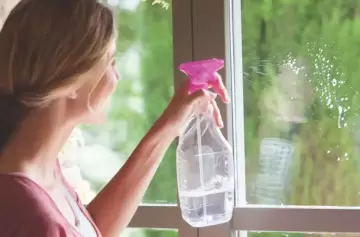El truco barato para limpiar las ventanas y dejarlas nuevas y fragantes