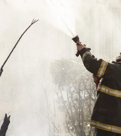 Imagen ilustrativa (web)