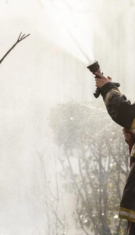 Imagen ilustrativa (web)