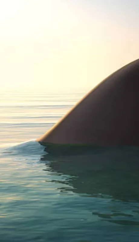 Sorpresa en Mar del Plata: un tiburón apareció entre los turistas en la playa