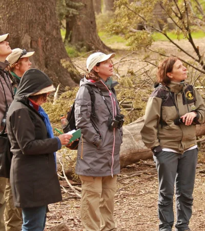 Una aventura única: Parques Nacionales busca voluntarios