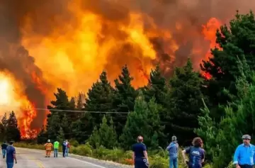 Pedirán el endurecimiento de penas para los causantes de incendios intencionales