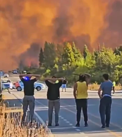 Incendios de El Bolsón.