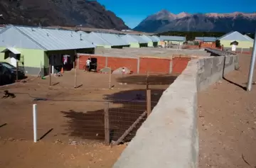 Escalofriantes detalles del sufrimiento de una perra que buscaban en Bariloche