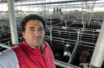 Sergio Pedace: "Tenemos las consecuencias de 20 años de políticas equivocadas"