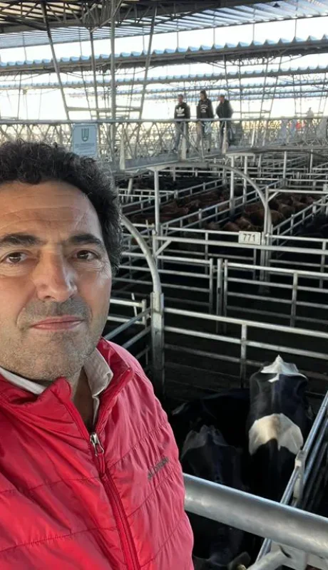 Sergio Pedace, vicepresidente de la Cámara Argentina de Matarifes y Abastecedores. (Foto: web)