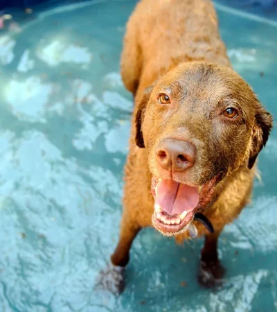 Atención con el asfalto: pongamos la mano nosotros, a ver si soportamos el calor.
