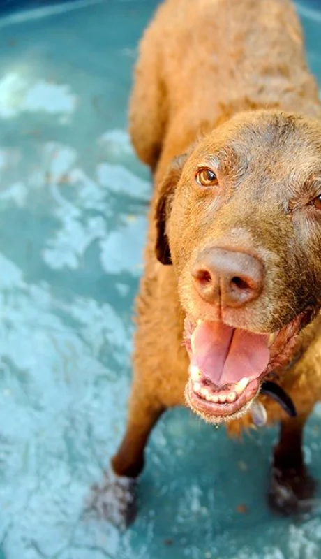 Atención con el asfalto: pongamos la mano nosotros, a ver si soportamos el calor.
