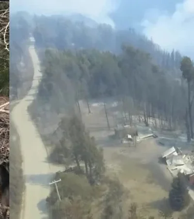 Don Reyes dedicó su vida al campo y a su hogar, que no quiso abandonar en medio del incendio.