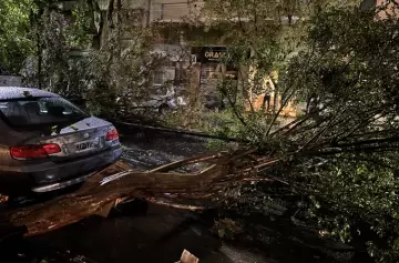 Caos en La Feliz: tormenta causó destrozos y puso a la ciudad en estado de alerta