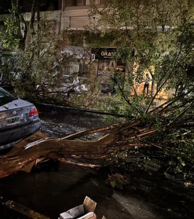 Árboles caídos, autos dañados y cortes de luz fueron las consecuencias de la tormenta.