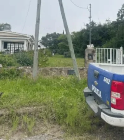Un adolescente atacó a hachazos a su madre tras una discusión