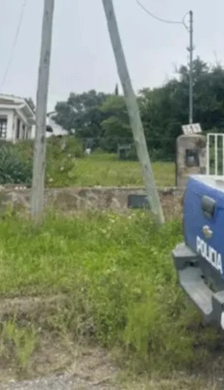 Un adolescente atacó a hachazos a su madre tras una discusión