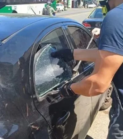 ¡Indignación y rescate! Bomberos salvaron a un perro encerrado en un auto