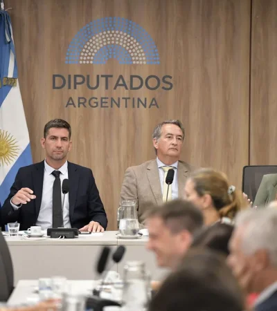 Diputados. Plenario Ficha Limpia
