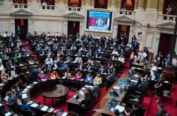 La Cámara de Diputados dio media sanción a la suspensión de las PASO