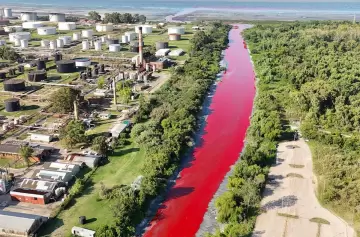 Avellaneda: un arroyo amaneció completamente teñido de rojo