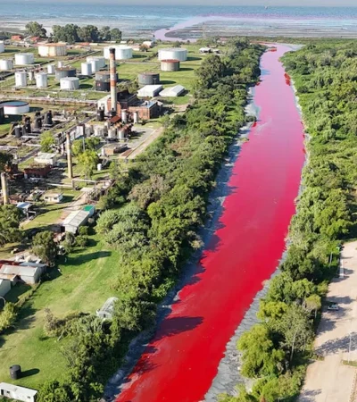 De terror: la línea roja se pierde en el Río de la Plata.