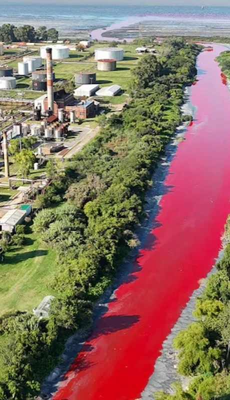 De terror: la línea roja se pierde en el Río de la Plata.