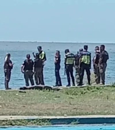 Los peritos analizan diversas hipótesis.