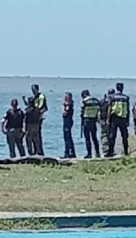 Los peritos analizan diversas hipótesis.