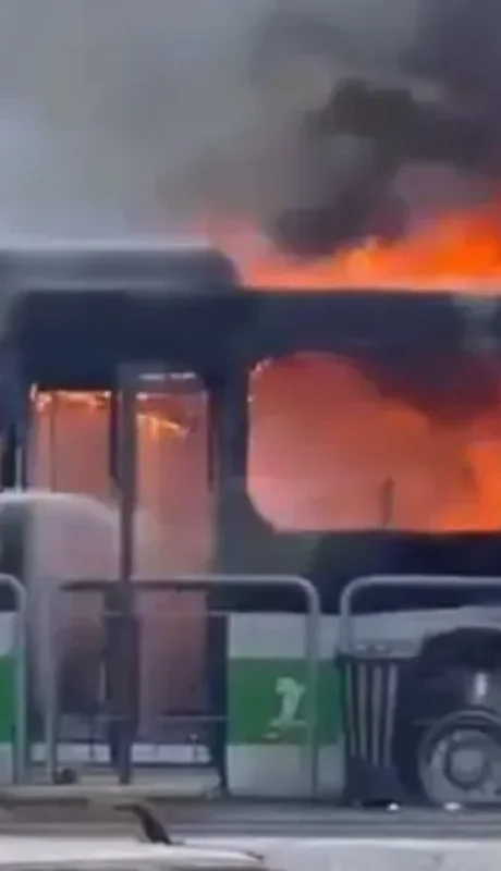 Avioneta se estrella en Brasil.