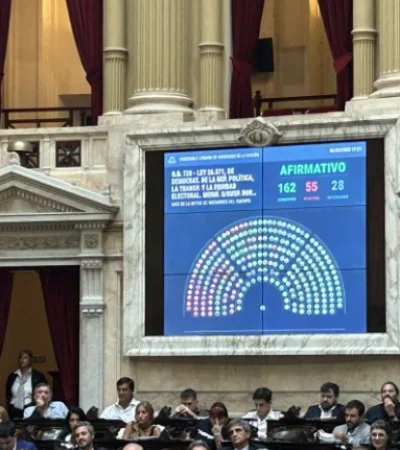 Este jueves el oficialismo logró la media sanción a la suspensión de las PASO.