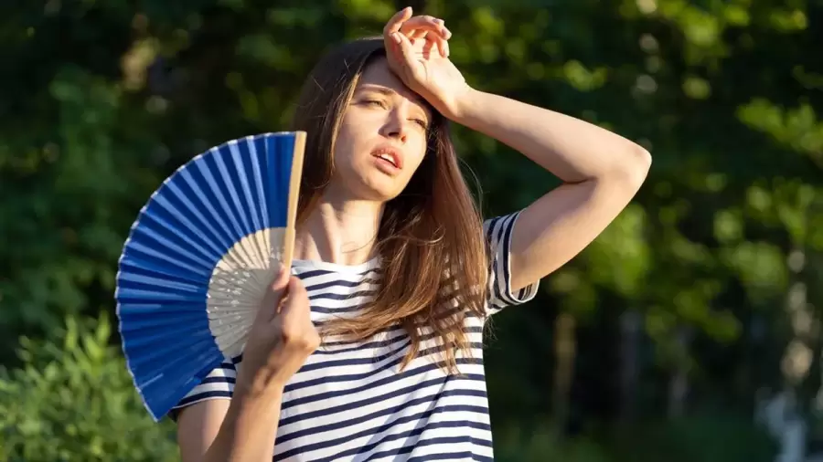 Comer más sano, e hidratar el cuerpo: las claves para una buena alimentación cuando llega la ola de calor.